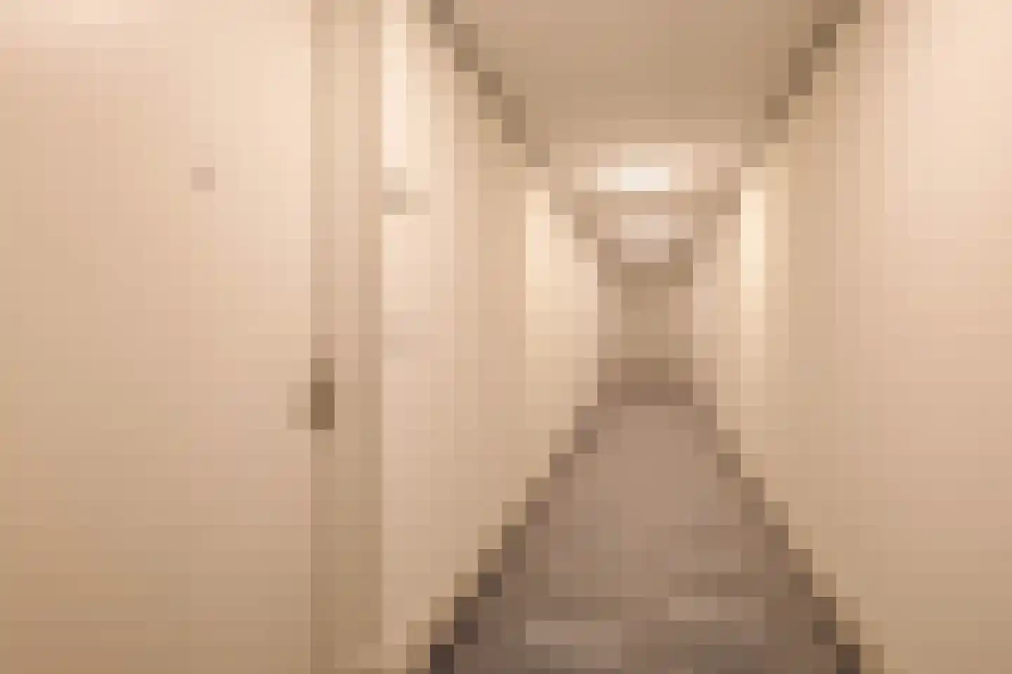 Deken van Somerenstraat 78 Eindhoven thumbnail 7