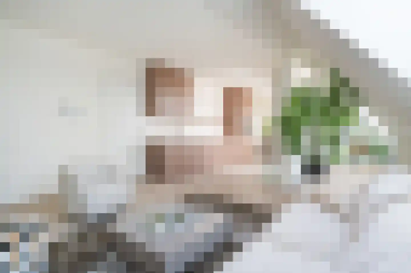 Deken van Somerenstraat 89 Eindhoven thumbnail 11