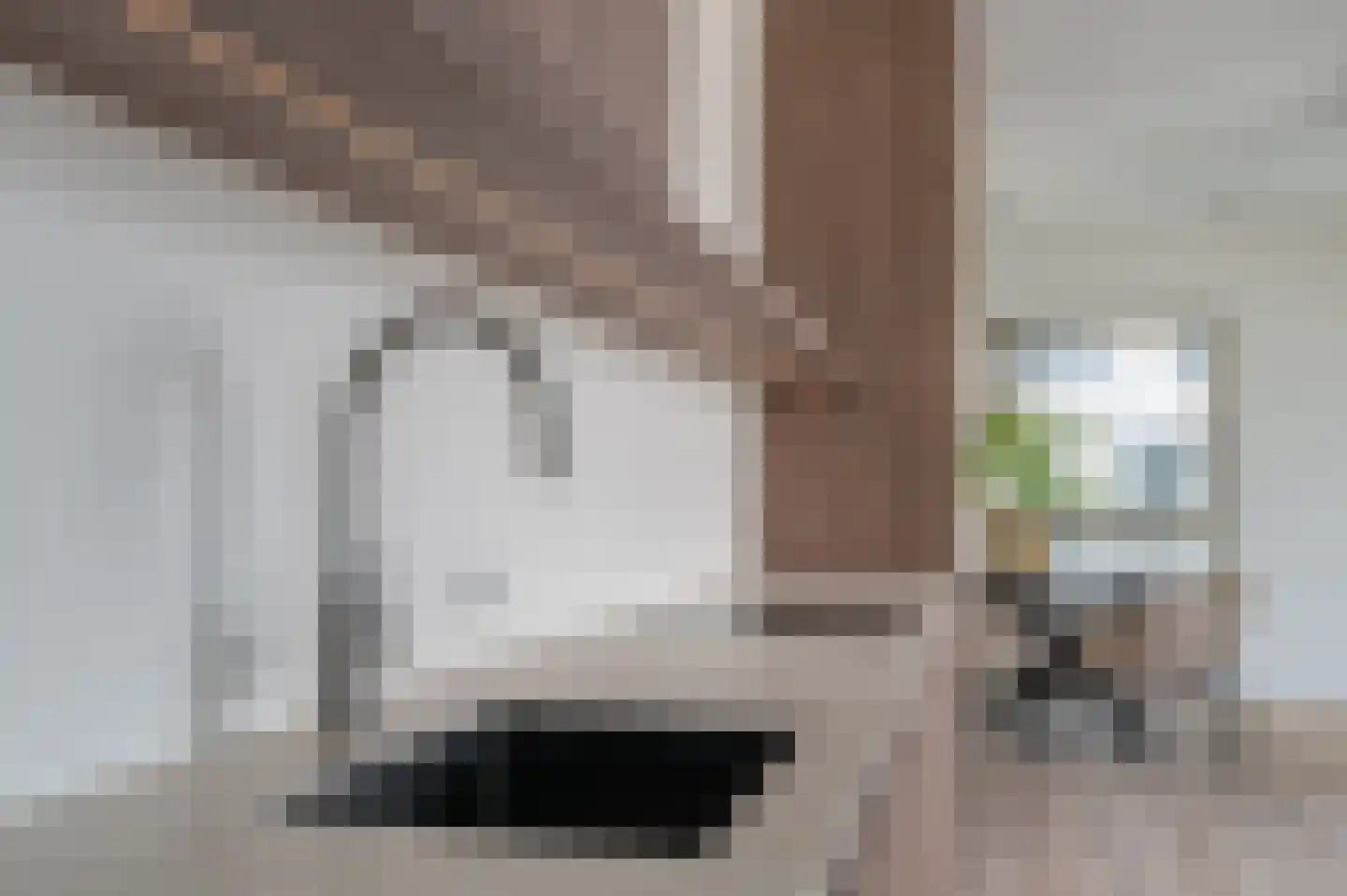 Deken van Somerenstraat 89 Eindhoven thumbnail 13