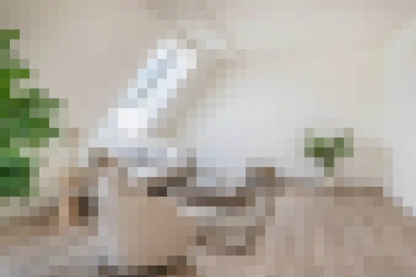 Deken van Somerenstraat 89 Eindhoven thumbnail 9