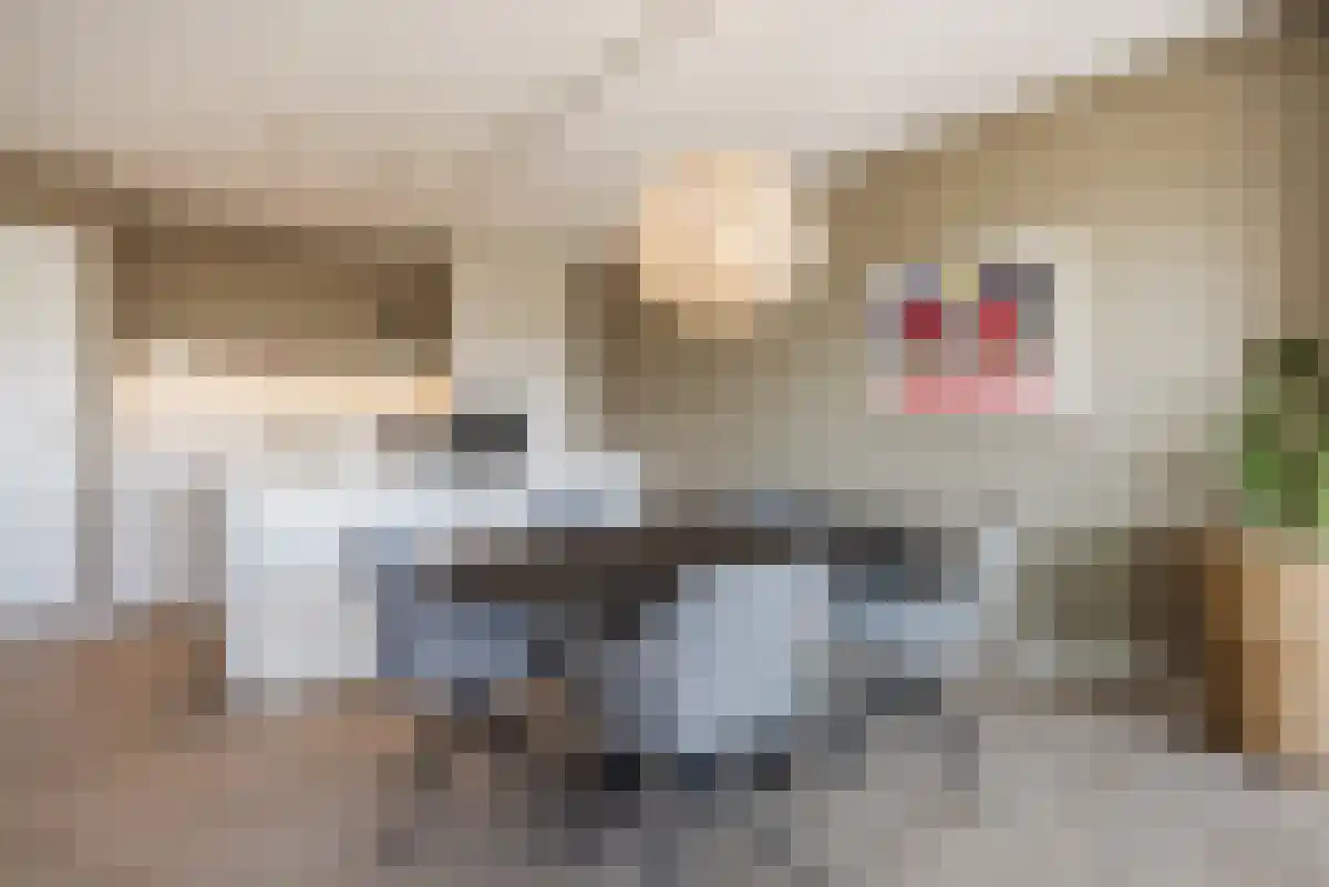 Deken van Somerenstraat 93 Eindhoven thumbnail 4