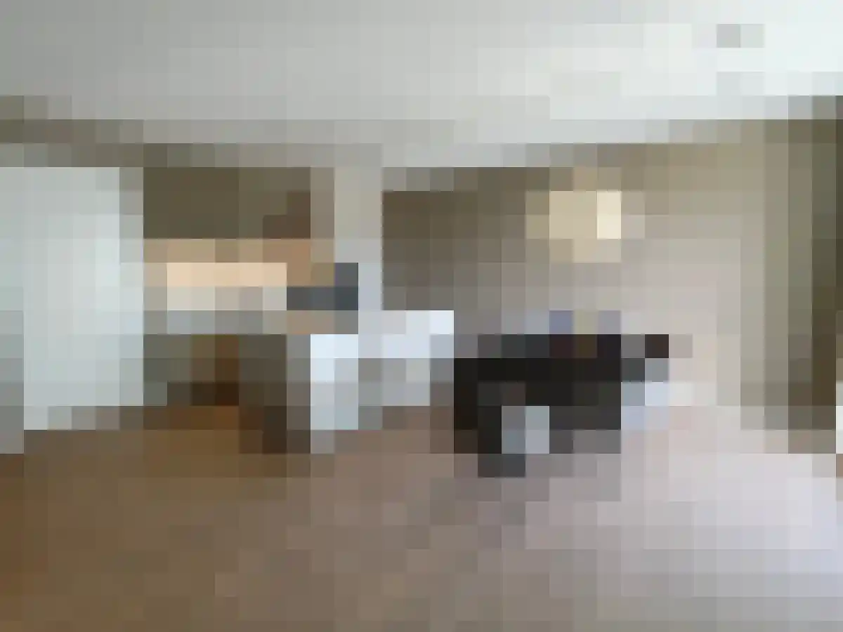 Deken van Somerenstraat 93 Eindhoven thumbnail 4