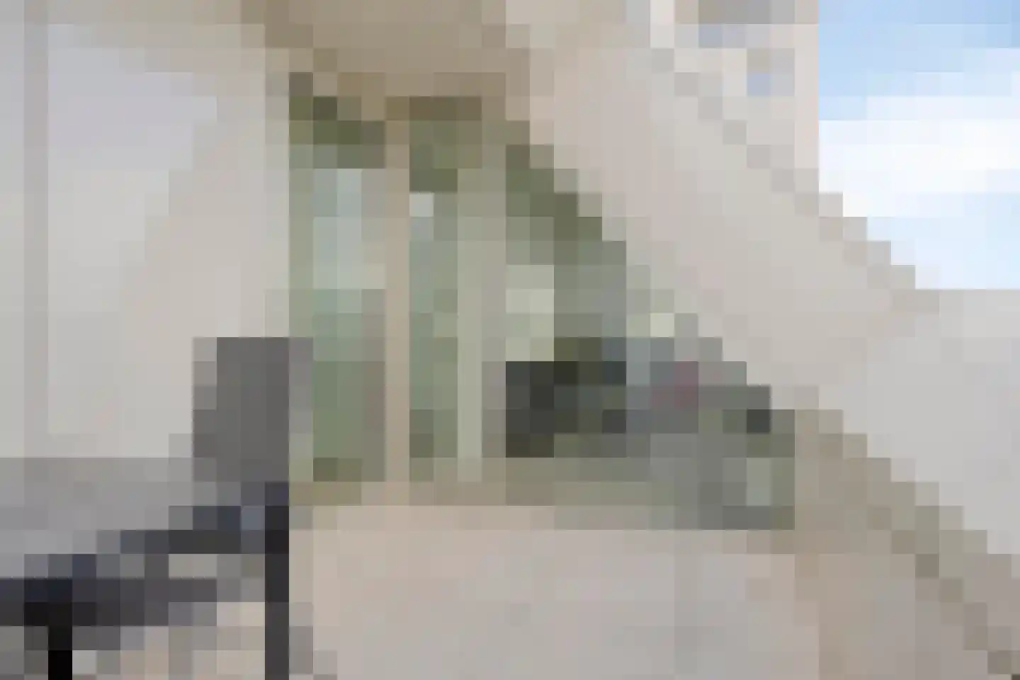 Deken van Somerenstraat 97 Eindhoven thumbnail 22