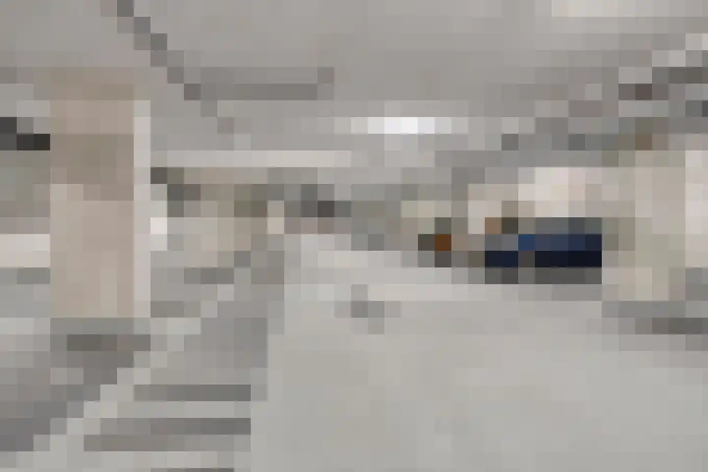 Deken van Somerenstraat 97 Eindhoven thumbnail 33