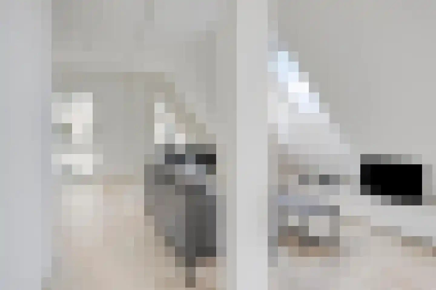 Deken van Somerenstraat 97 Eindhoven thumbnail 4