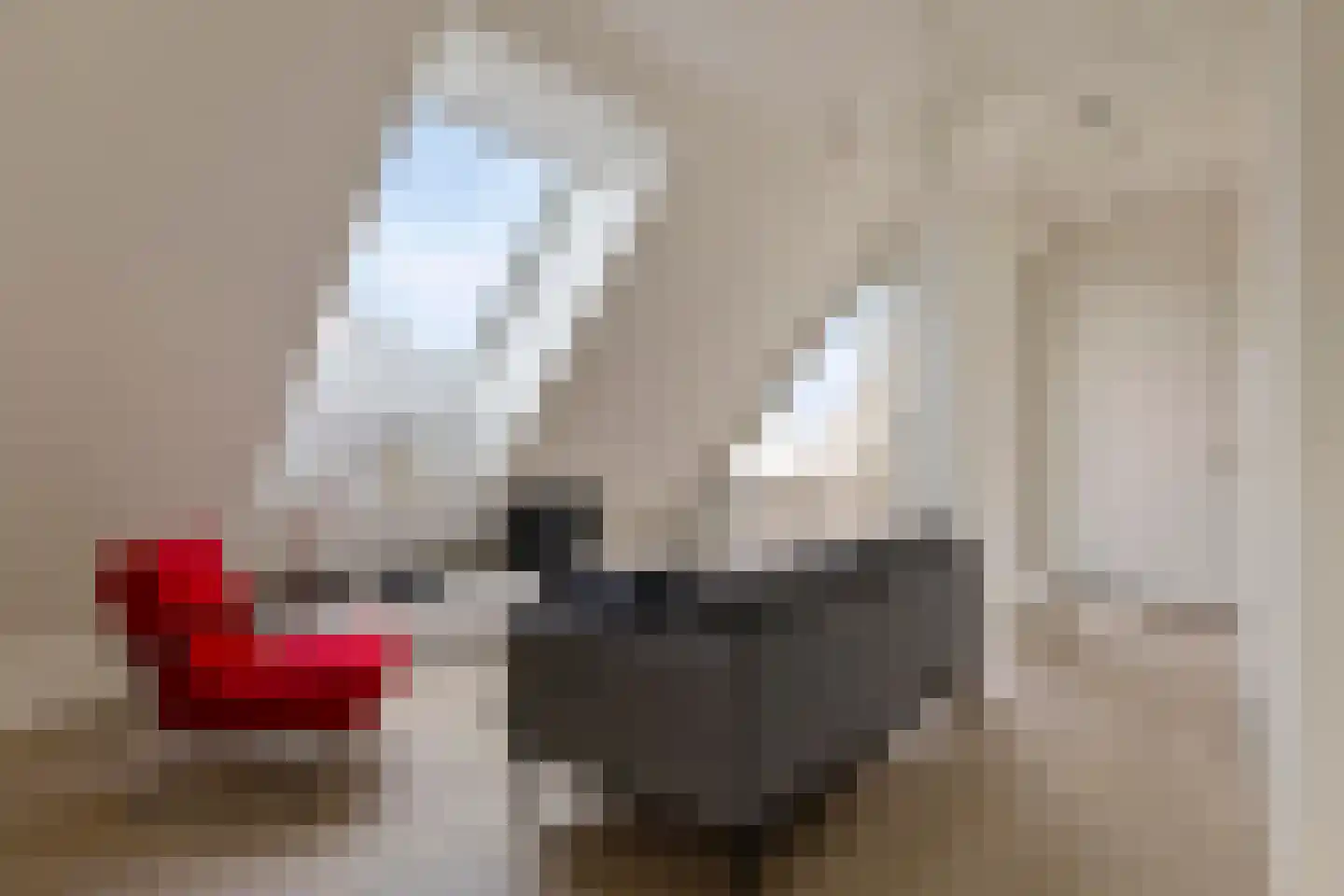 Deken van Somerenstraat 97 Eindhoven thumbnail 5