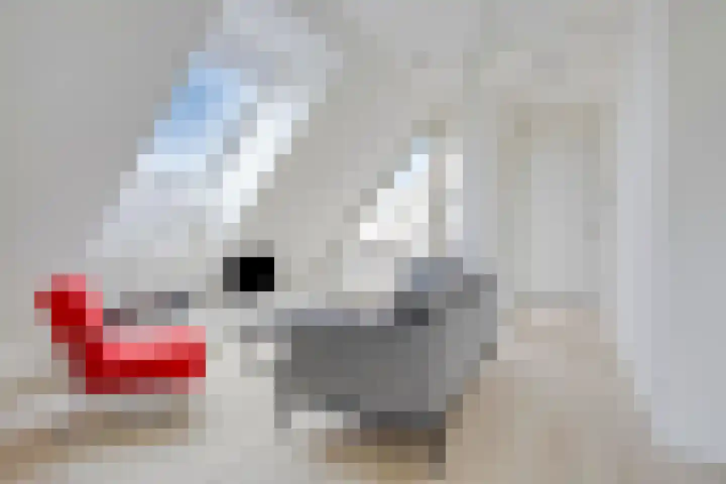 Deken van Somerenstraat 97 Eindhoven thumbnail 8