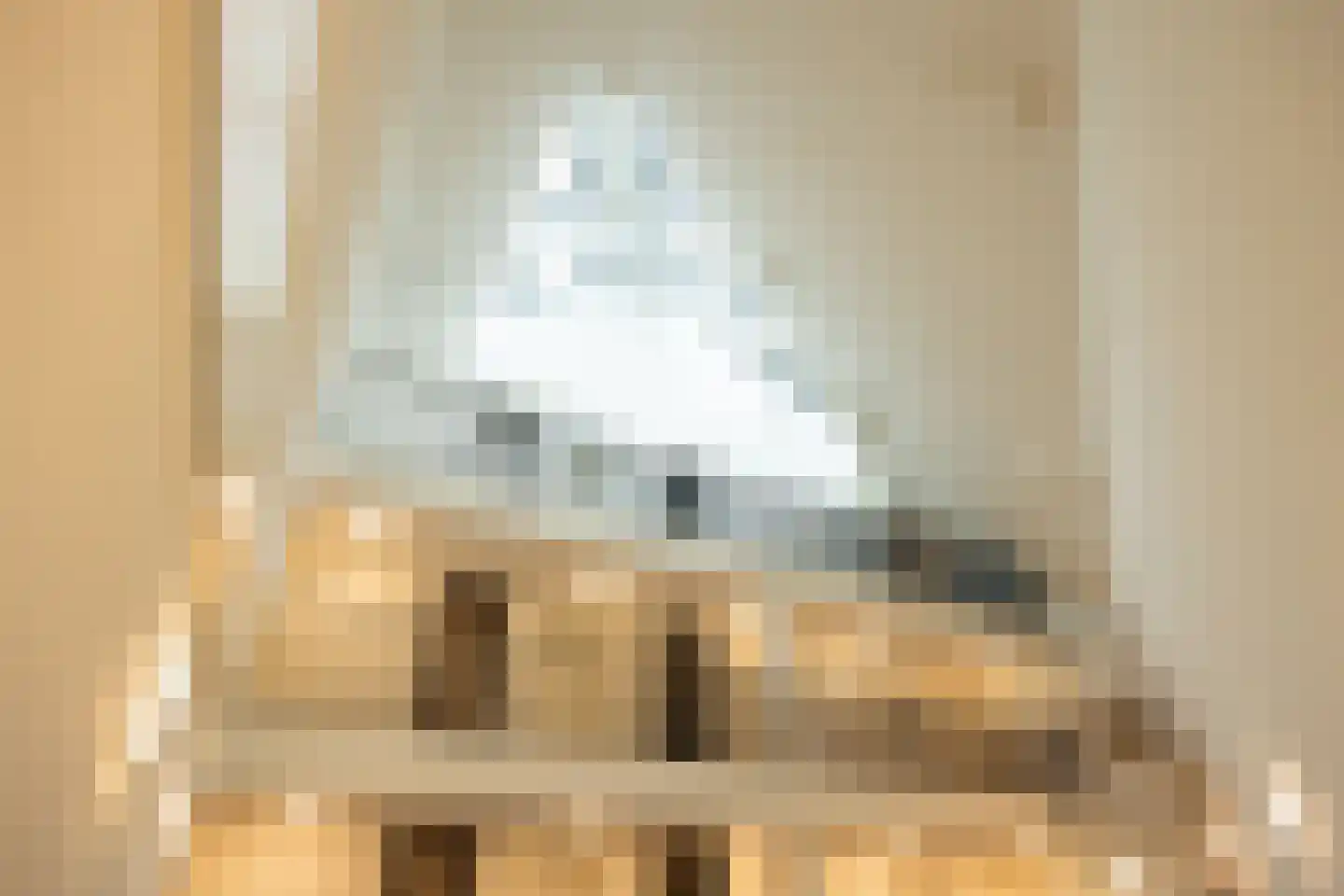 Deken van Somerenstraat 98 Eindhoven thumbnail 13