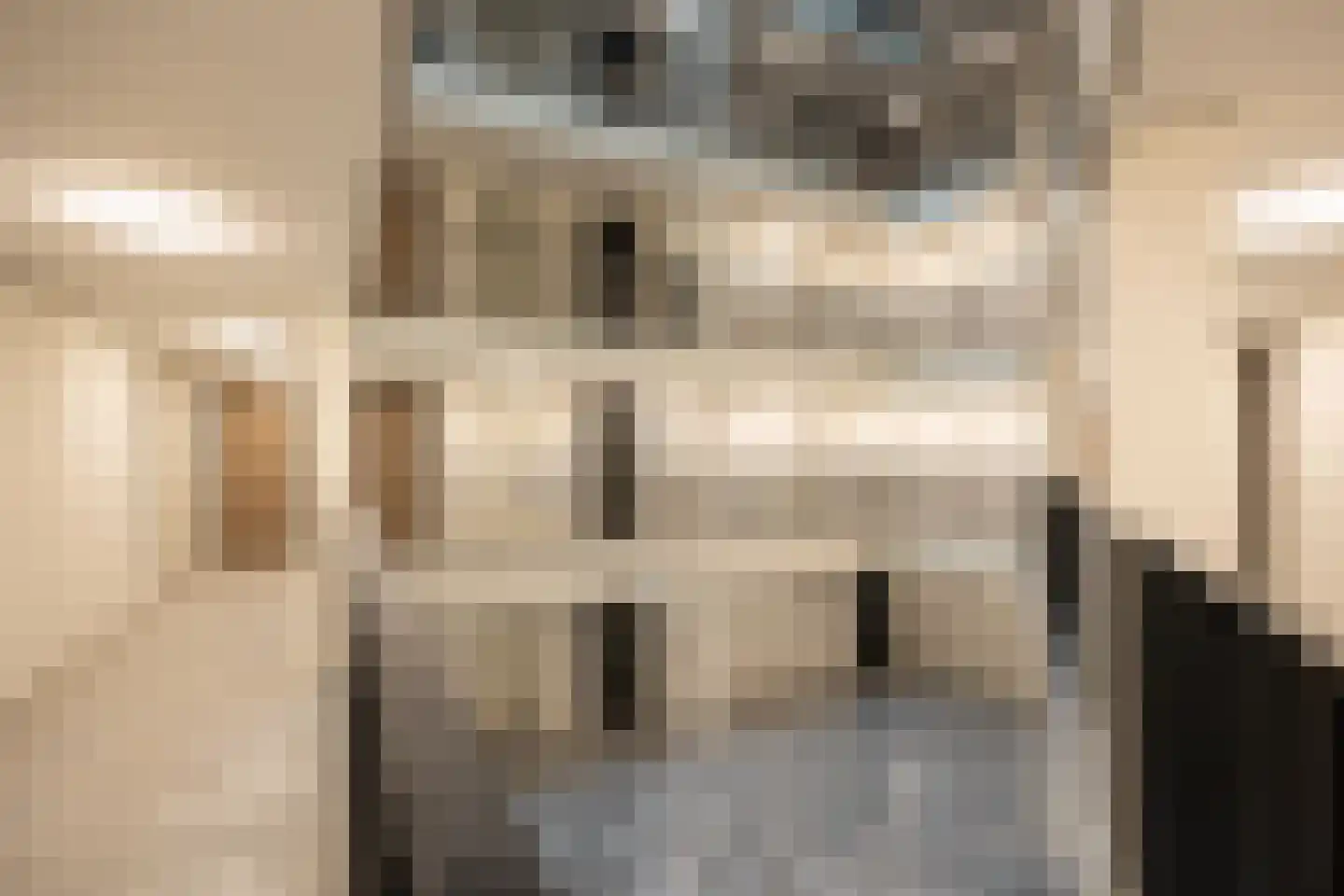 Deken van Somerenstraat 98 Eindhoven thumbnail 15