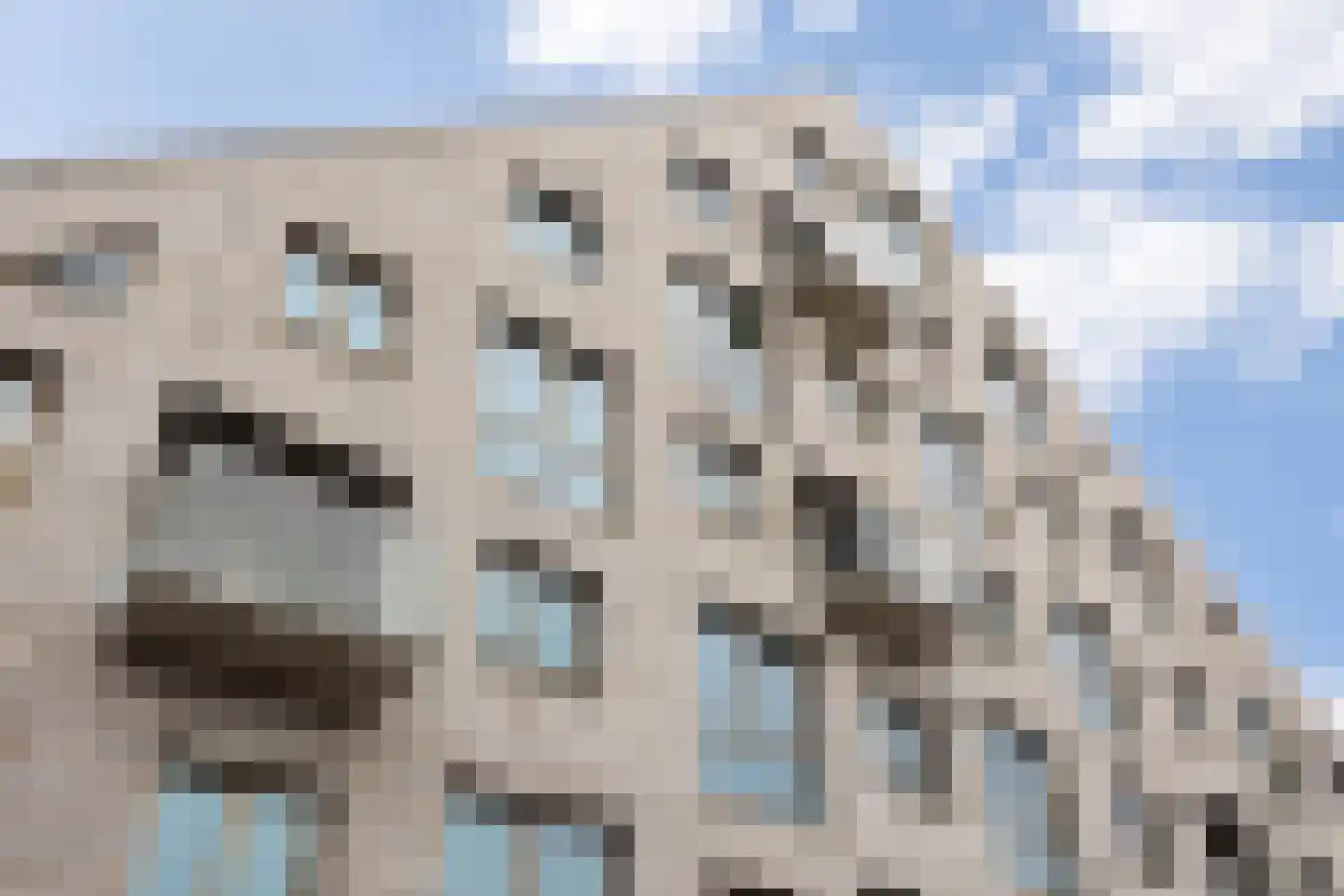 Deken van Somerenstraat 98 Eindhoven thumbnail 17
