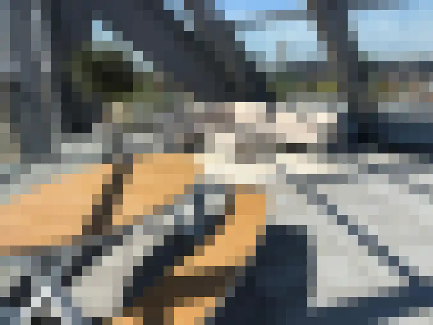 Deken van Somerenstraat 98 Eindhoven thumbnail 23