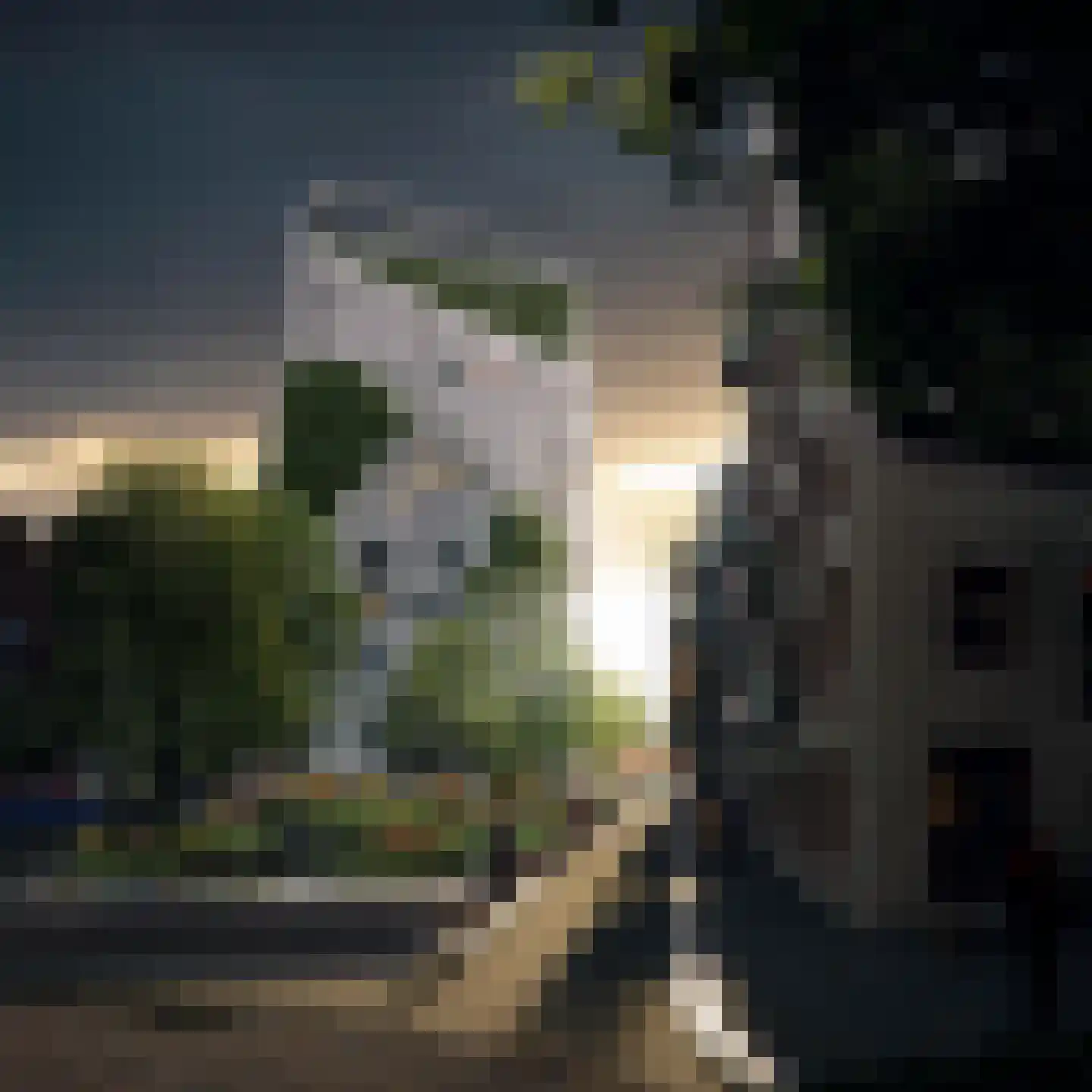 Deken van Somerenstraat 98 Eindhoven thumbnail 25
