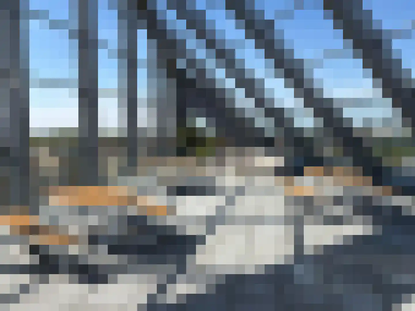 Deken van Somerenstraat 98 Eindhoven thumbnail 25