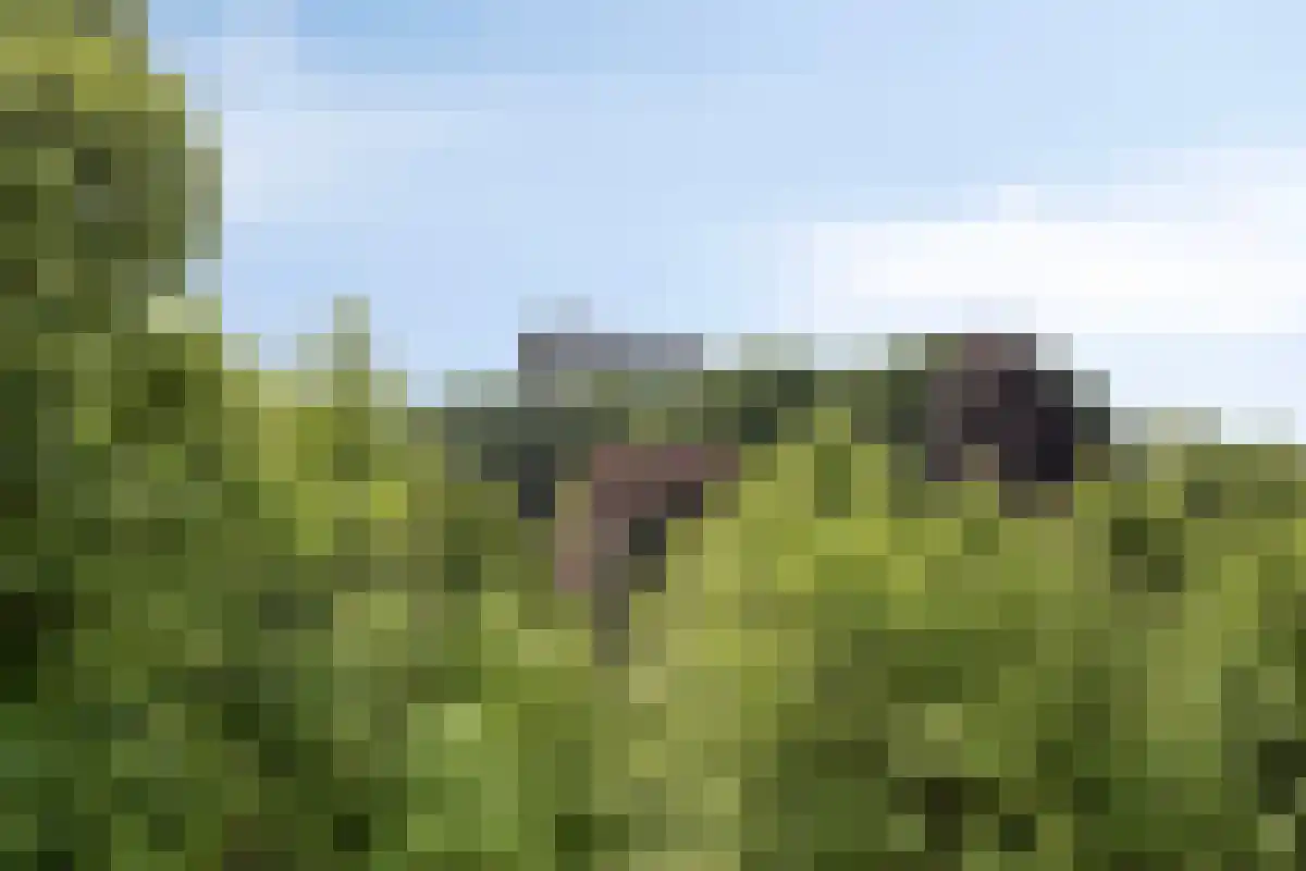 Deken van Somerenstraat Eindhoven thumbnail 6