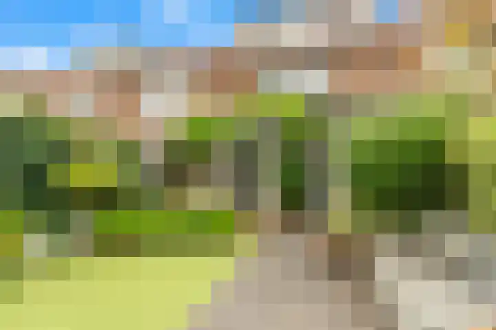 Deken Waarestraat 17 Beverwijk thumbnail 18