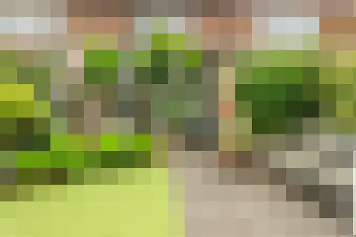 Deken Waarestraat 17 Beverwijk thumbnail 19