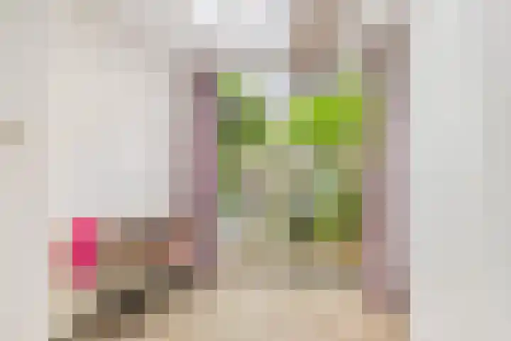 Deken Waarestraat 17 Beverwijk thumbnail 9