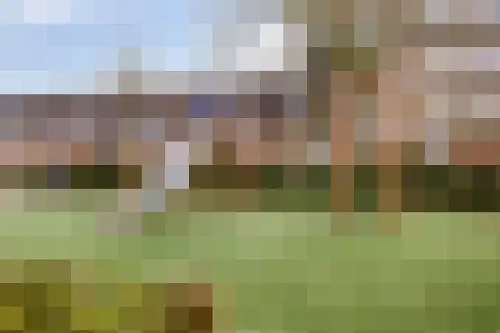 Deken Waarestraat 18 Beverwijk thumbnail 26