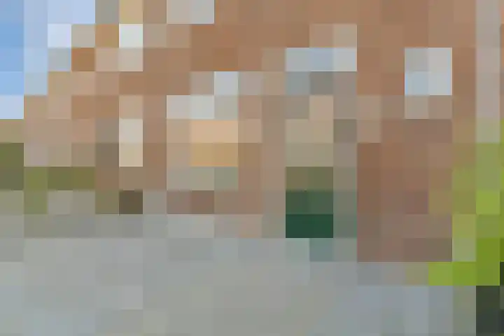 Deken Waarestraat 40 Beverwijk thumbnail 10