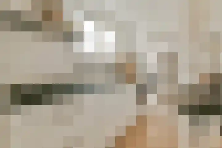 Deken Waarestraat 40 Beverwijk thumbnail 4