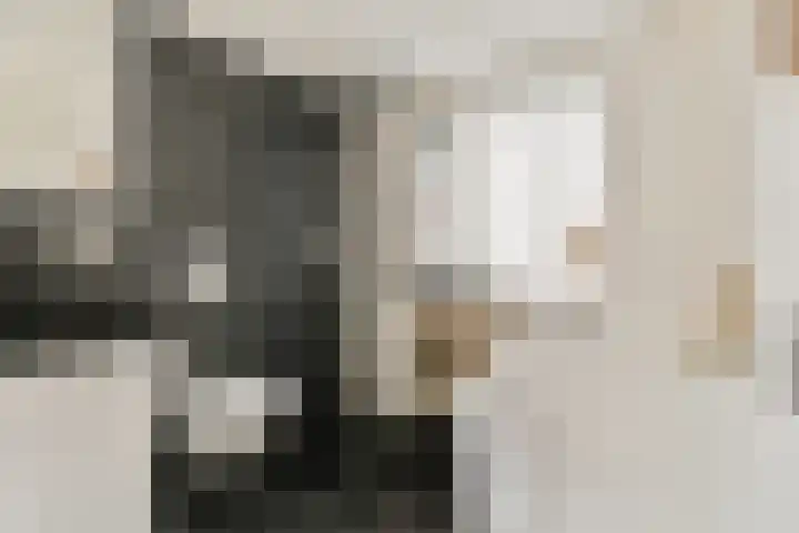 Deken Waarestraat 40 Beverwijk thumbnail 6