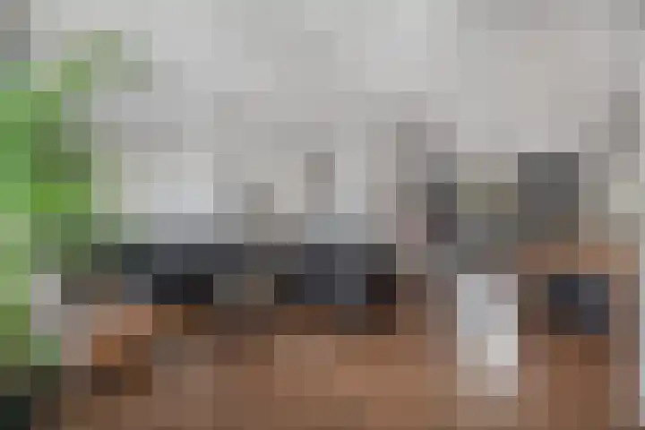 Deken Wehmeijerhof 2 Velddriel thumbnail 10