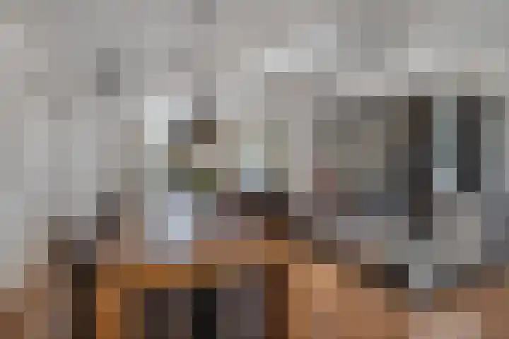 Deken Wehmeijerhof 2 Velddriel thumbnail 11
