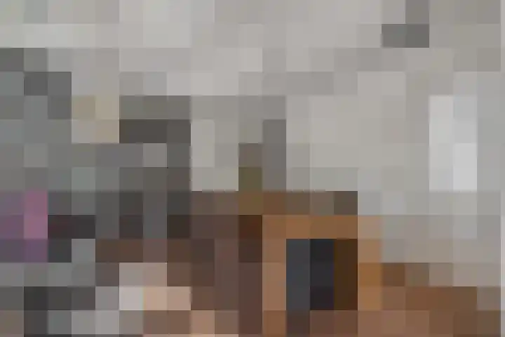 Deken Wehmeijerhof 2 Velddriel thumbnail 12