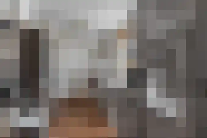 Deken Wehmeijerhof 2 Velddriel thumbnail 13