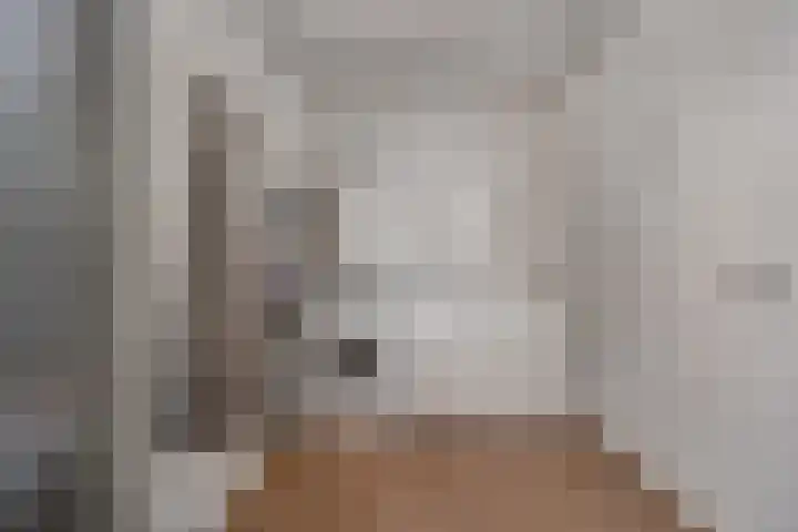 Deken Wehmeijerhof 2 Velddriel thumbnail 14