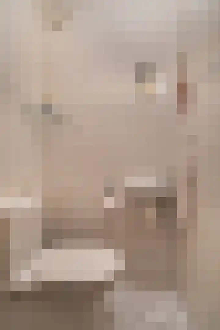 Deken Wehmeijerhof 2 Velddriel thumbnail 16