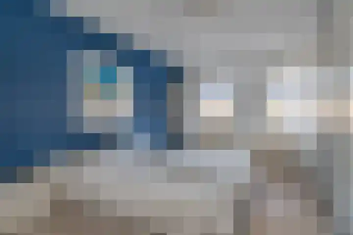 Deken Wehmeijerhof 2 Velddriel thumbnail 18