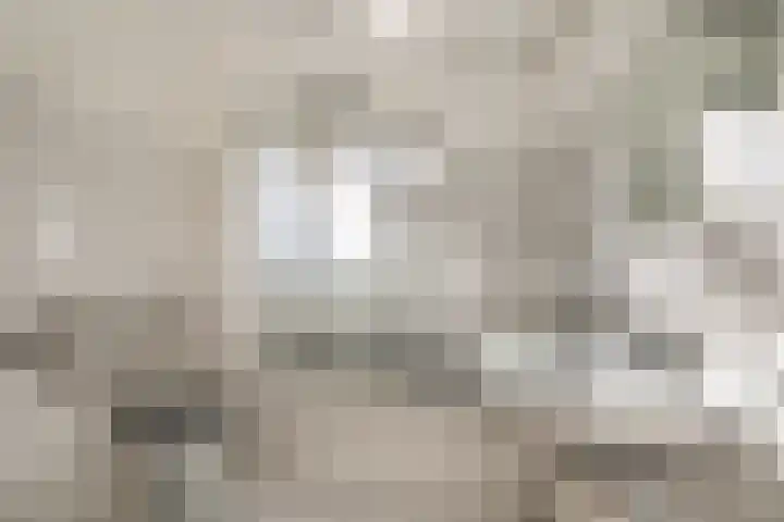 Deken Wehmeijerhof 2 Velddriel thumbnail 20