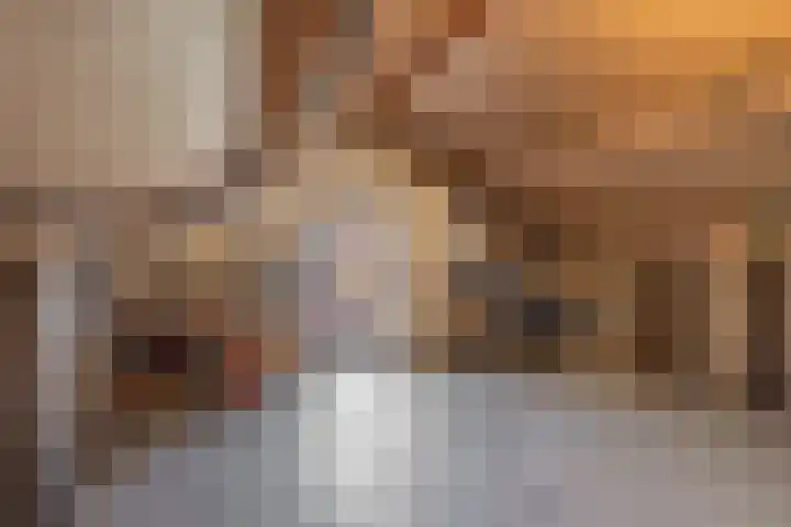 Deken Wehmeijerhof 2 Velddriel thumbnail 21