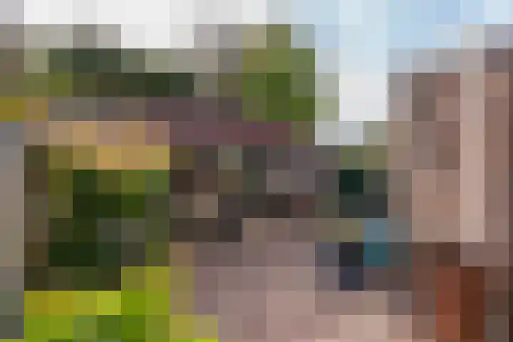 Deken Wehmeijerhof 2 Velddriel thumbnail 24