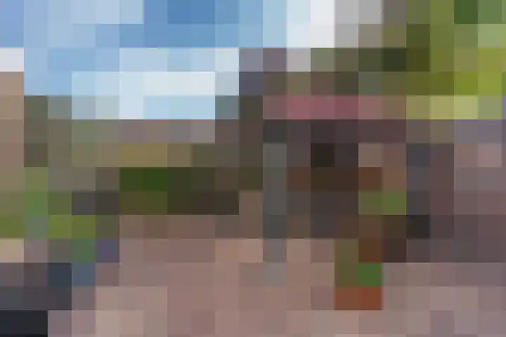 Deken Wehmeijerhof 2 Velddriel thumbnail 27