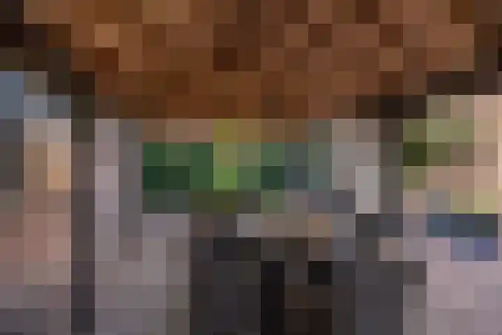 Deken Wehmeijerhof 2 Velddriel thumbnail 28