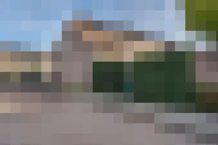 Deken Wehmeijerhof 2 Velddriel thumbnail 29