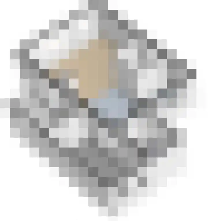Deken Wehmeijerhof 2 Velddriel thumbnail 34