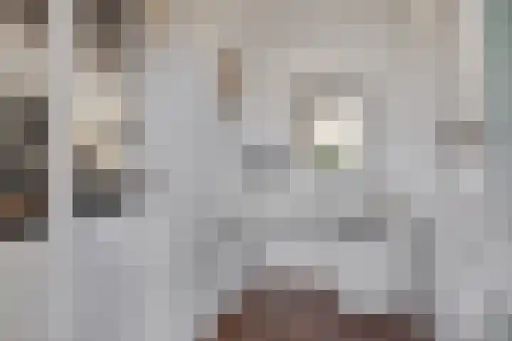 Deken Wehmeijerhof 2 Velddriel thumbnail 7