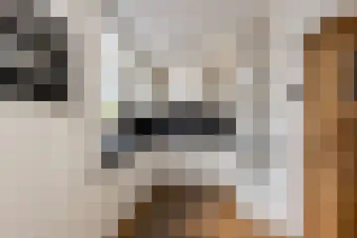 Deken Wehmeijerhof 4 Velddriel thumbnail 12