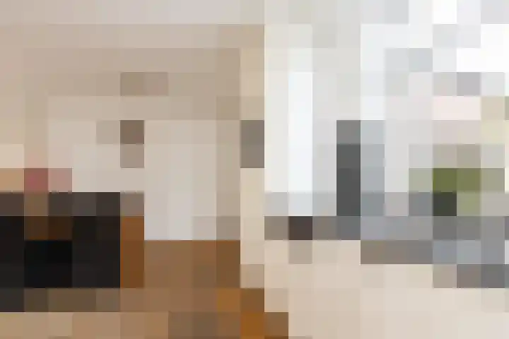 Deken Wehmeijerhof 4 Velddriel thumbnail 13