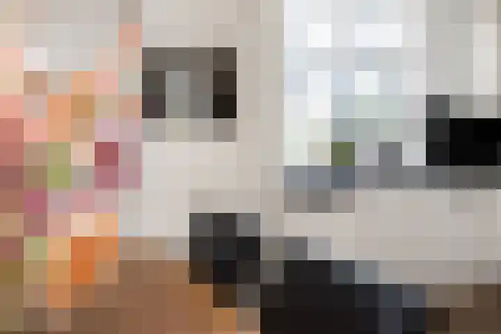 Deken Wehmeijerhof 4 Velddriel thumbnail 17