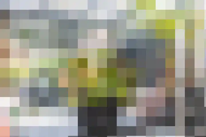 Deken Wehmeijerhof 4 Velddriel thumbnail 18