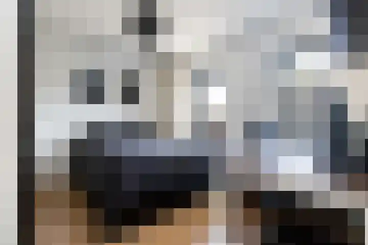 Deken Wehmeijerhof 4 Velddriel thumbnail 28