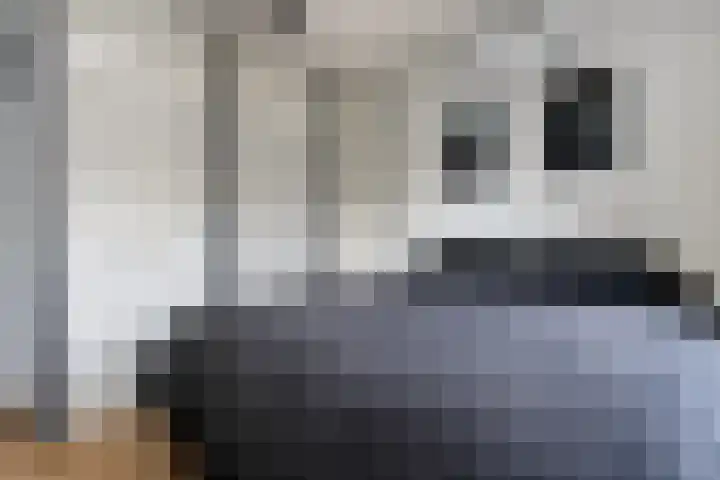 Deken Wehmeijerhof 4 Velddriel thumbnail 29