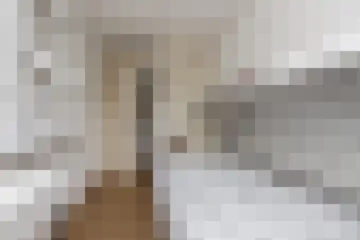 Deken Wehmeijerhof 4 Velddriel thumbnail 32