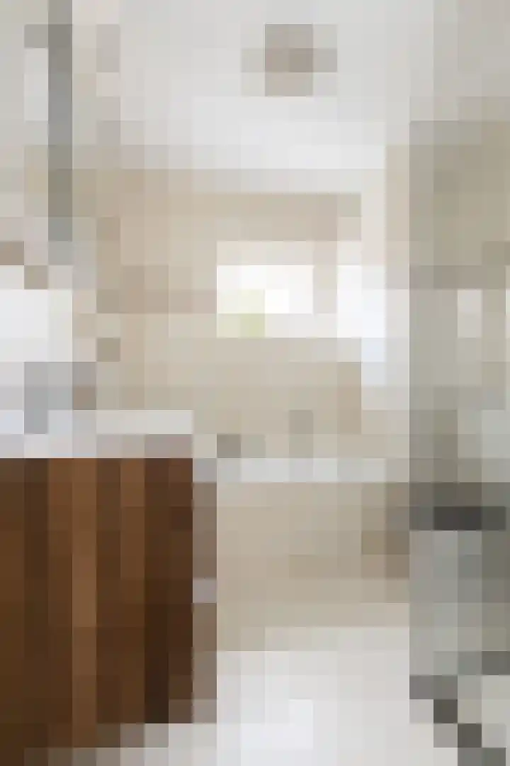 Deken Wehmeijerhof 4 Velddriel thumbnail 34