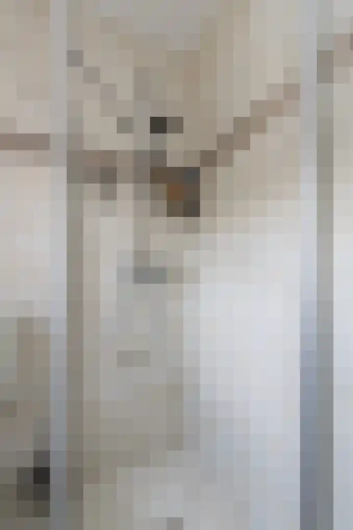 Deken Wehmeijerhof 4 Velddriel thumbnail 35