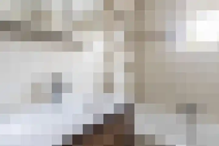 Deken Wehmeijerhof 4 Velddriel thumbnail 37